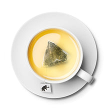 Load image into Gallery viewer, Wild DAH YEH GREEN TEA/ 12 COLD BREW PYRAMID TEA BAGS (2.5G EACH)