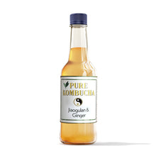 Load image into Gallery viewer, HAND CRAFTED PURE KOMBUCHA- JIAOGULAN &amp; GINGER/ 500ML
