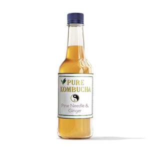 HAND CRAFTED PURE KOMBUCHA- PINE NEEDLES & GINGER/ 500ML